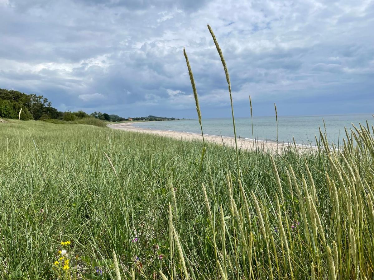 Laegenhet Soeder Om Landsvaegen D Lägenhet Skivarp Exteriör bild